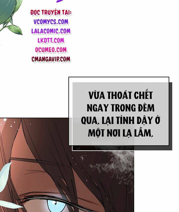 Tôi Không Cố Ý Quyến Rũ Nam Chính Đâu! Chapter 21 - Trang 2