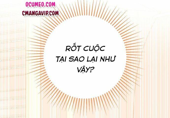 Tôi Không Cố Ý Quyến Rũ Nam Chính Đâu! Chapter 21 - Trang 2