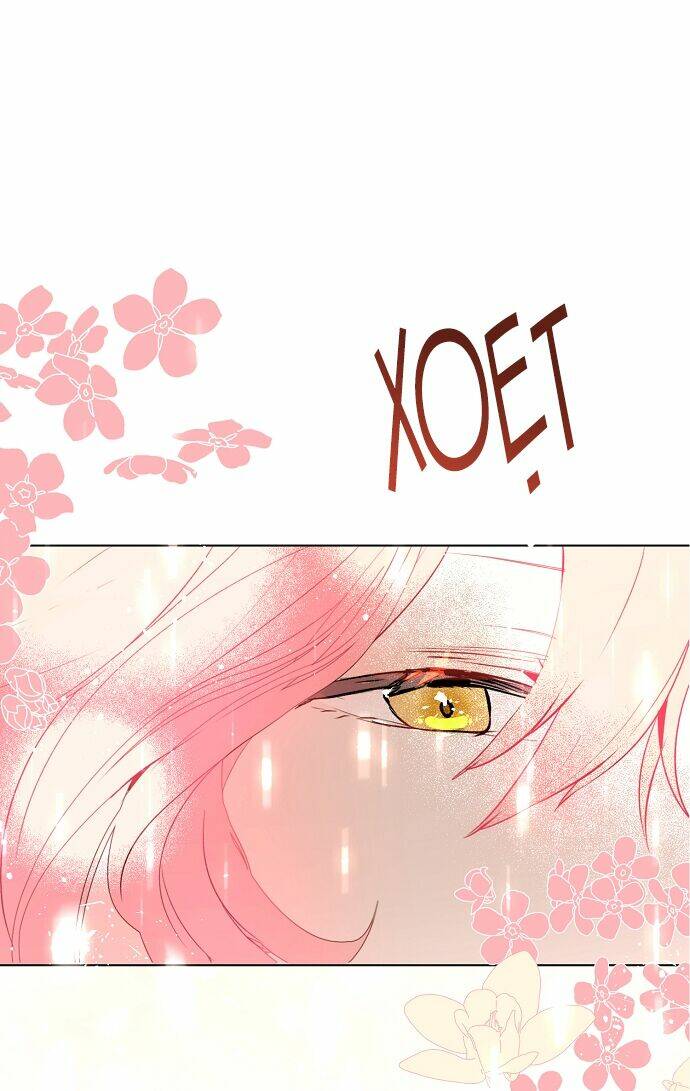 Tôi Không Cố Ý Quyến Rũ Nam Chính Đâu! Chapter 22 - Trang 2