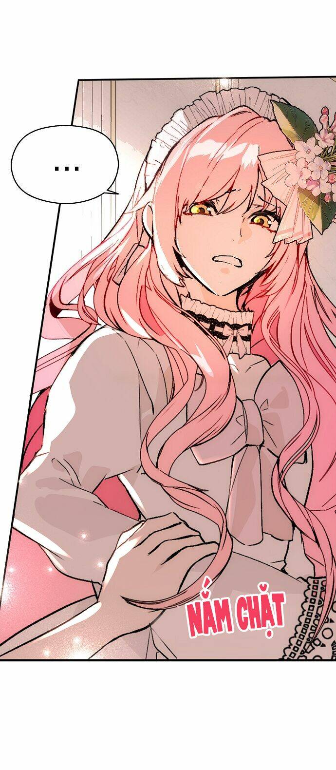 Tôi Không Cố Ý Quyến Rũ Nam Chính Đâu! Chapter 22 - Trang 2