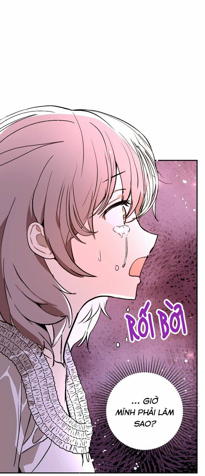 Tôi Không Cố Ý Quyến Rũ Nam Chính Đâu! Chapter 22 - Trang 2