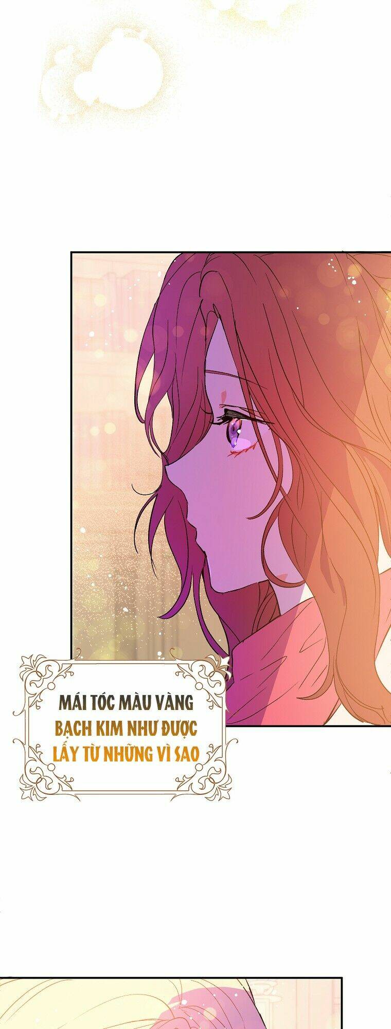 Tôi Không Cố Ý Quyến Rũ Nam Chính Đâu! Chapter 3 - Trang 2