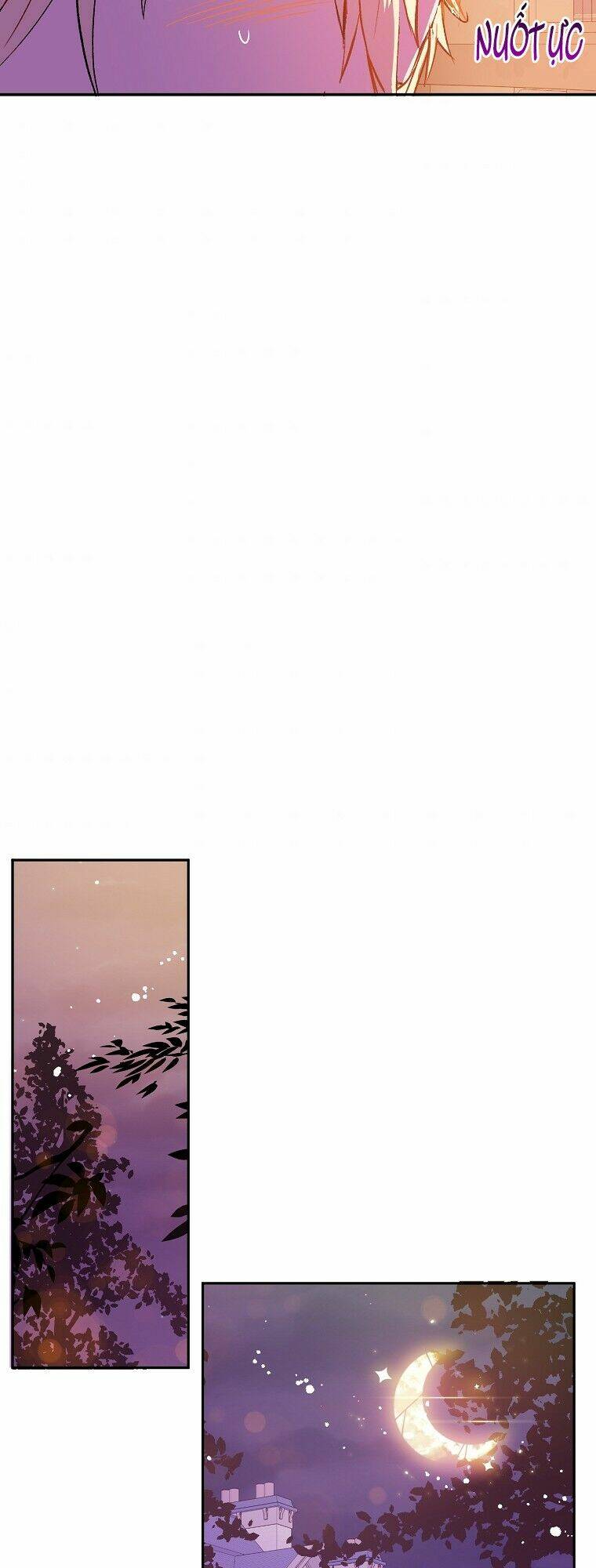 Tôi Không Cố Ý Quyến Rũ Nam Chính Đâu! Chapter 4 - Trang 2