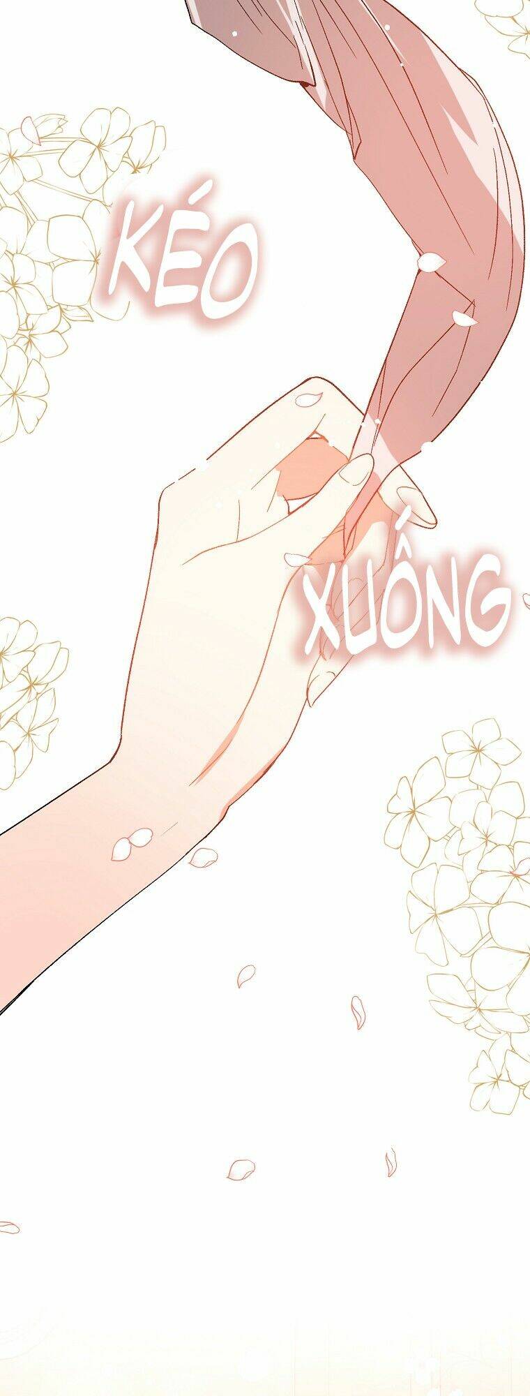 Tôi Không Cố Ý Quyến Rũ Nam Chính Đâu! Chapter 4 - Trang 2