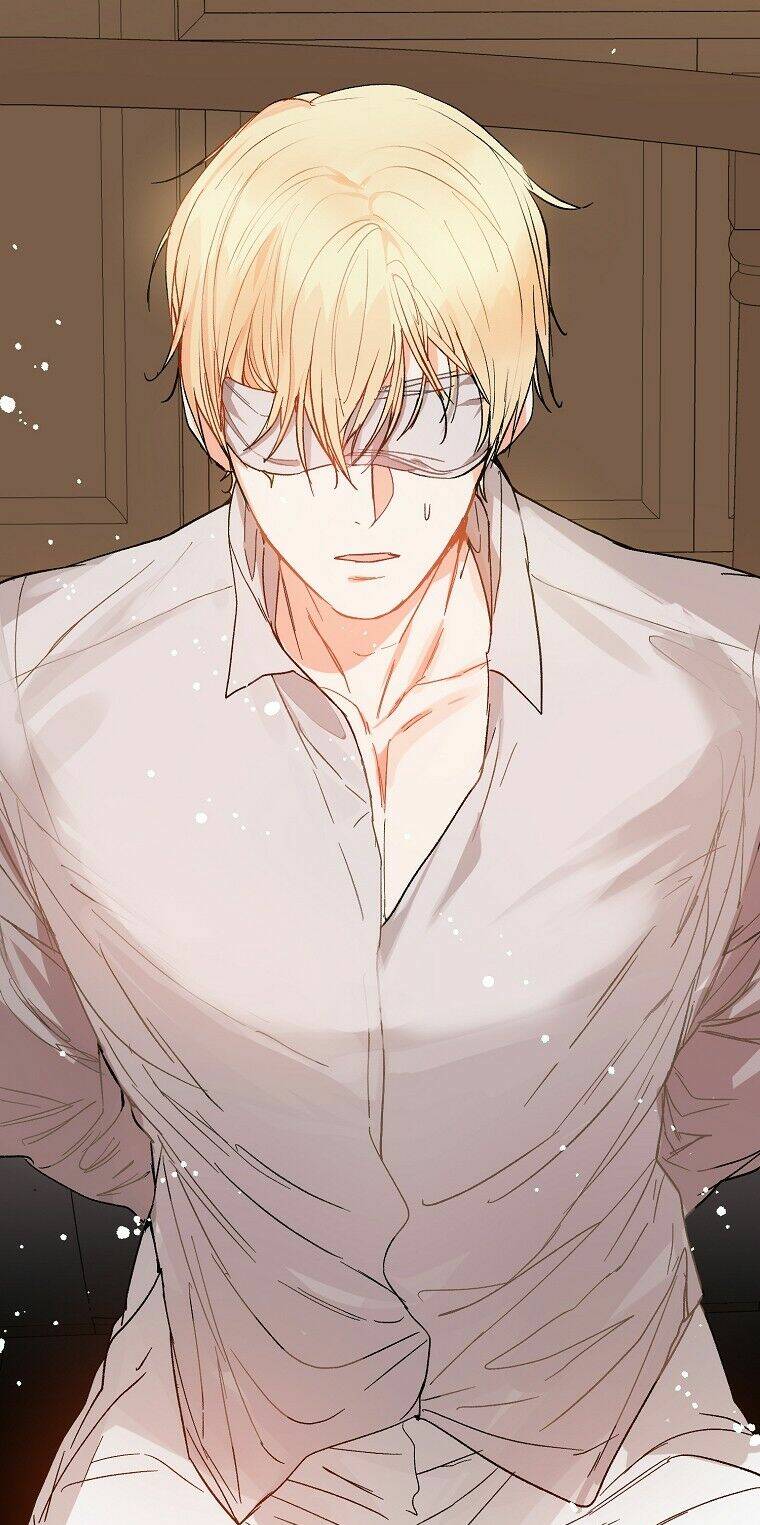 Tôi Không Cố Ý Quyến Rũ Nam Chính Đâu! Chapter 4 - Trang 2