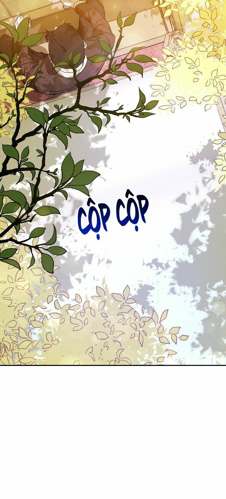 Tôi Không Cố Ý Quyến Rũ Nam Chính Đâu! Chapter 5 - Trang 2