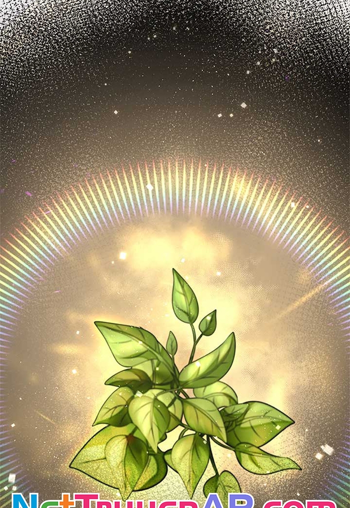 Tôi Không Muốn Chết Lần Nữa! Chapter 44 - Trang 2