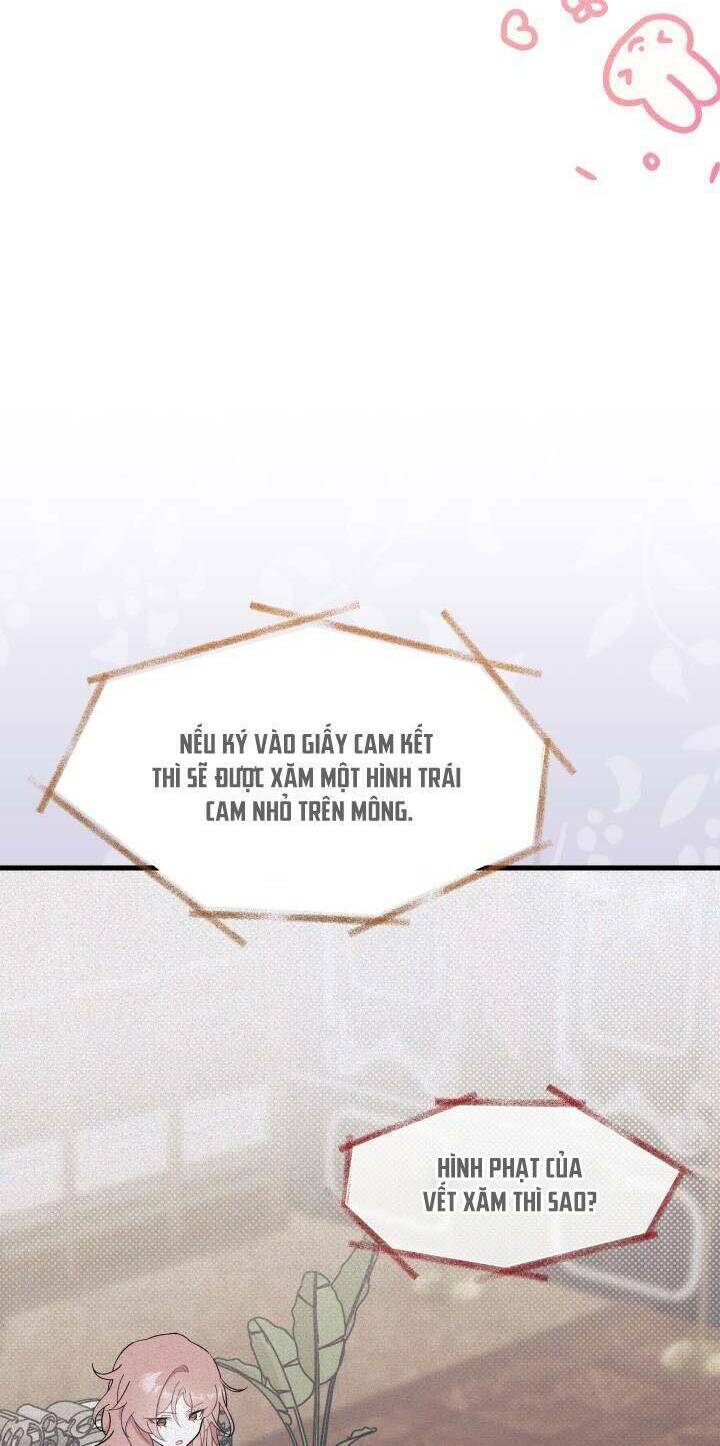 Tôi Không Muốn Làm Người Mai Mối Chapter 25 - Trang 2