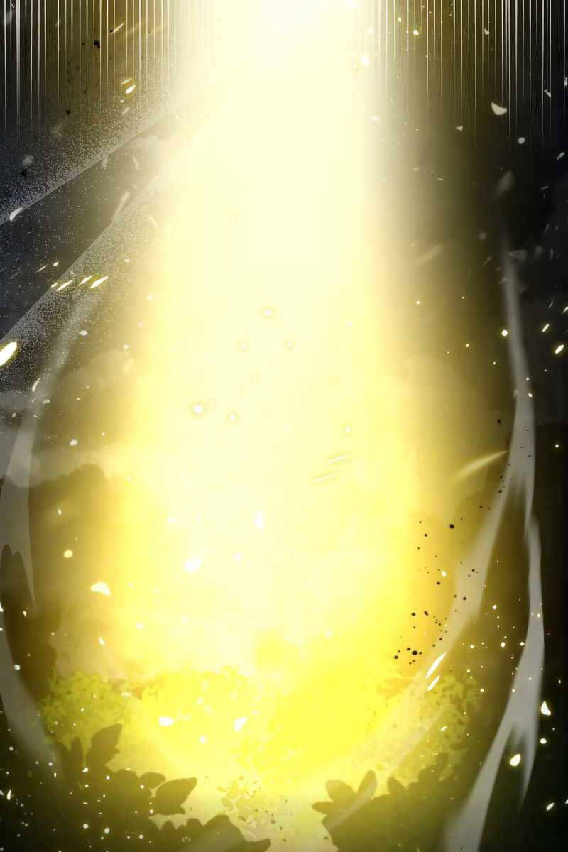 Tôi Không Phải Là Hồi Quy Giả Chapter 1 - Trang 2