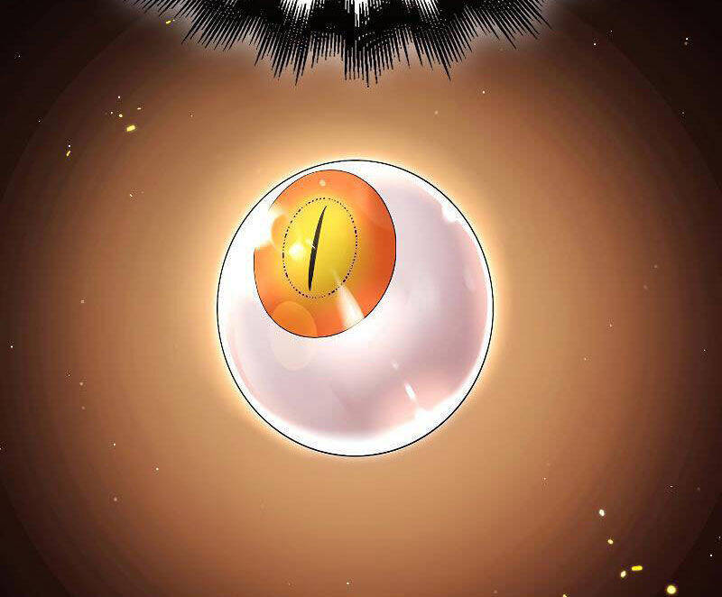 Tôi Không Phải Là Hồi Quy Giả Chapter 26 - Trang 2