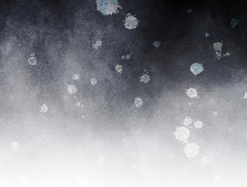 Tôi Không Phải Là Hồi Quy Giả Chapter 26 - Trang 2