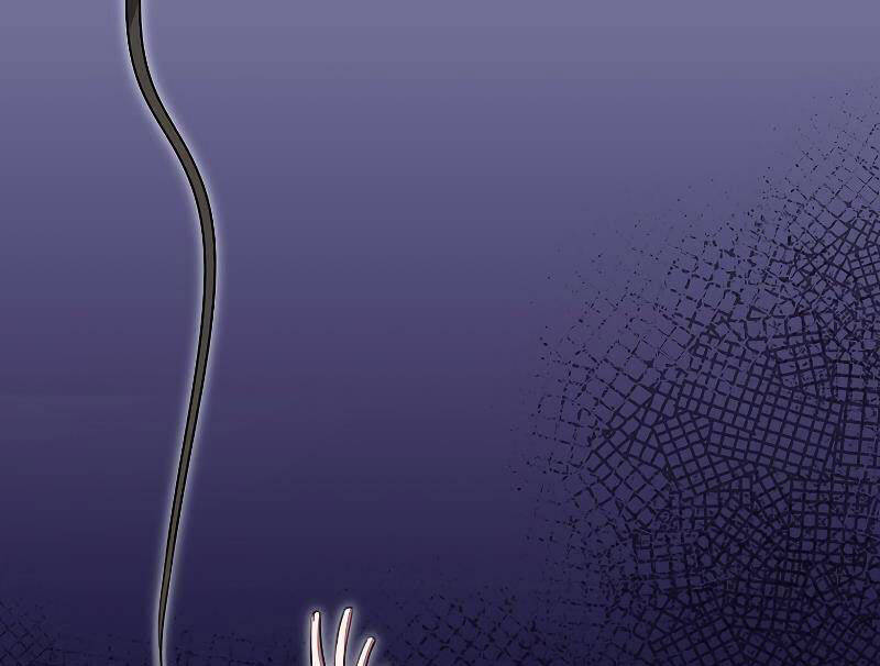 Tôi Không Phải Là Hồi Quy Giả Chapter 26 - Trang 2