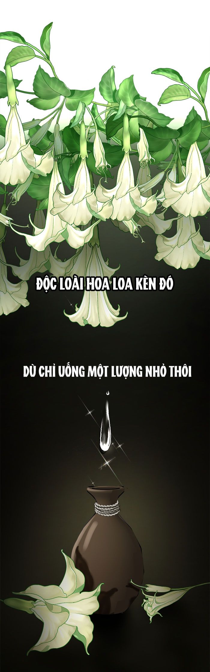 Tôi Là Công Tử Đẹp Trai Nhất Xứ Xiêm Chapter 13.1 - Trang 2