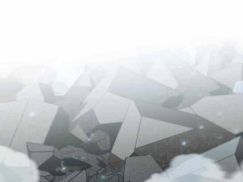 Tôi Là Người Chơi Leo Tháp Một Mình Chapter 100 - Trang 2