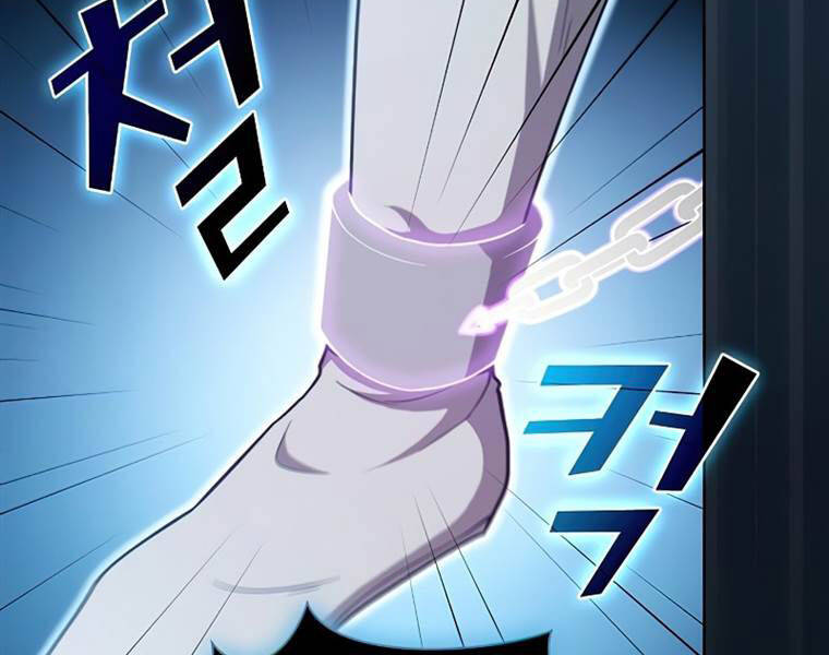 Tôi Là Người Chơi Leo Tháp Một Mình Chapter 102 - Trang 2