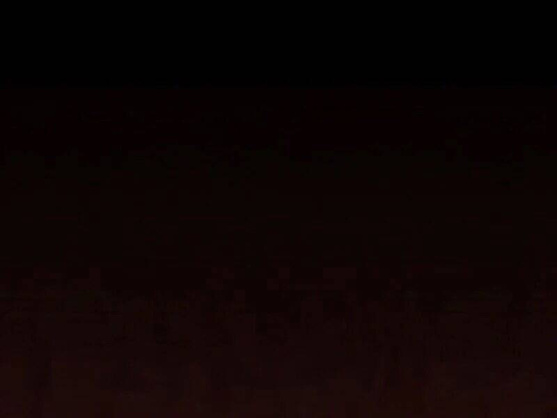 Tôi Là Người Chơi Leo Tháp Một Mình Chapter 110 - Trang 2