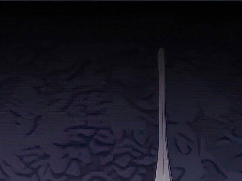 Tôi Là Người Chơi Leo Tháp Một Mình Chapter 110 - Trang 2