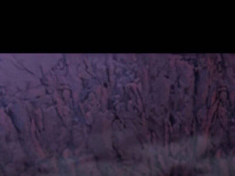 Tôi Là Người Chơi Leo Tháp Một Mình Chapter 110 - Trang 2