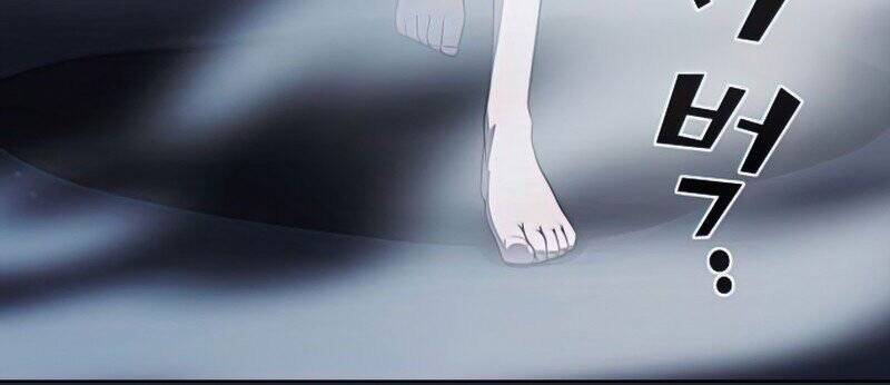 Tôi Là Người Chơi Leo Tháp Một Mình Chapter 110 - Trang 2