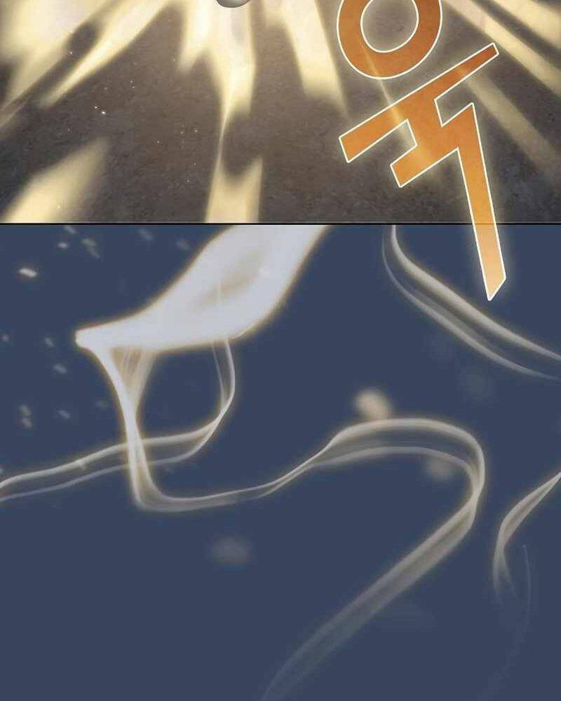 Tôi Là Người Chơi Leo Tháp Một Mình Chapter 115 - Trang 2