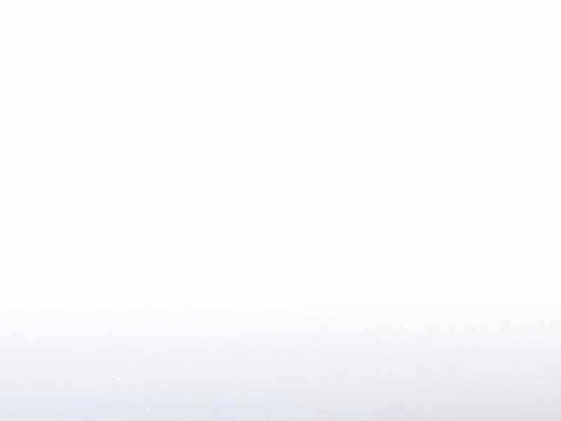 Tôi Là Người Chơi Leo Tháp Một Mình Chapter 118 - Trang 2