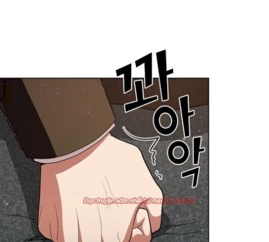 Tôi Là Người Chơi Leo Tháp Một Mình Chapter 38.1 - Trang 2