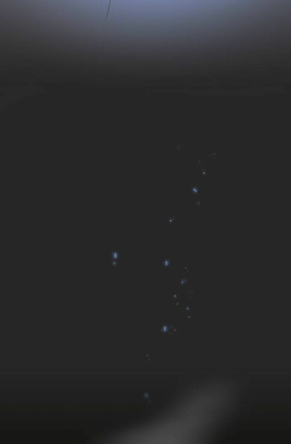 Tôi Là Người Chơi Leo Tháp Một Mình Chapter 4 - Trang 2