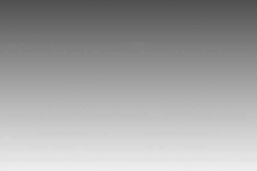 Tôi Là Người Chơi Leo Tháp Một Mình Chapter 85 - Trang 2