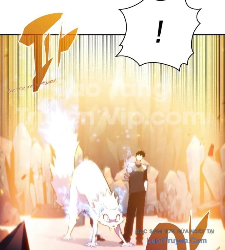 Tôi Là Tân Thủ Có Cấp Cao Nhất Chapter 226 - Trang 2