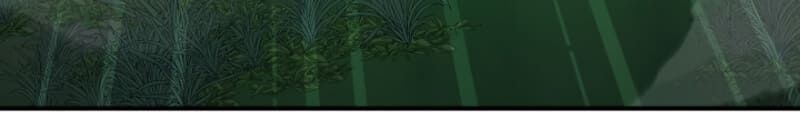 Tôi Là Thợ Săn Có Kĩ Năng Tự Sát Cấp Sss Chapter 11 - Trang 2