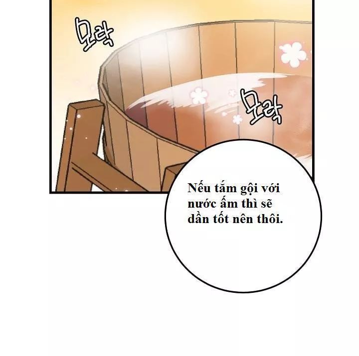 Tôi Là Tiểu Thư Của Gia Đình Này Chapter 10 - Trang 2