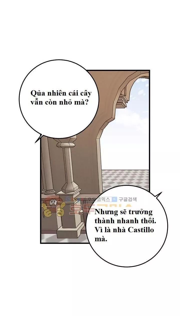 Tôi Là Tiểu Thư Của Gia Đình Này Chapter 16 - Trang 2