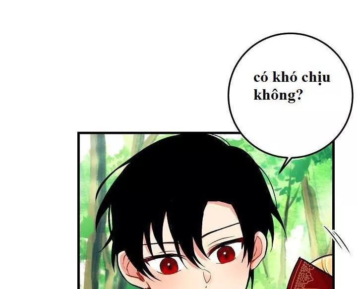 Tôi Là Tiểu Thư Của Gia Đình Này Chapter 17 - Trang 2