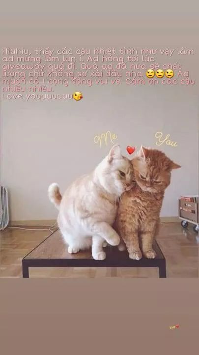 Tôi Là Tiểu Thư Của Gia Đình Này Chapter 24.2 - Trang 2