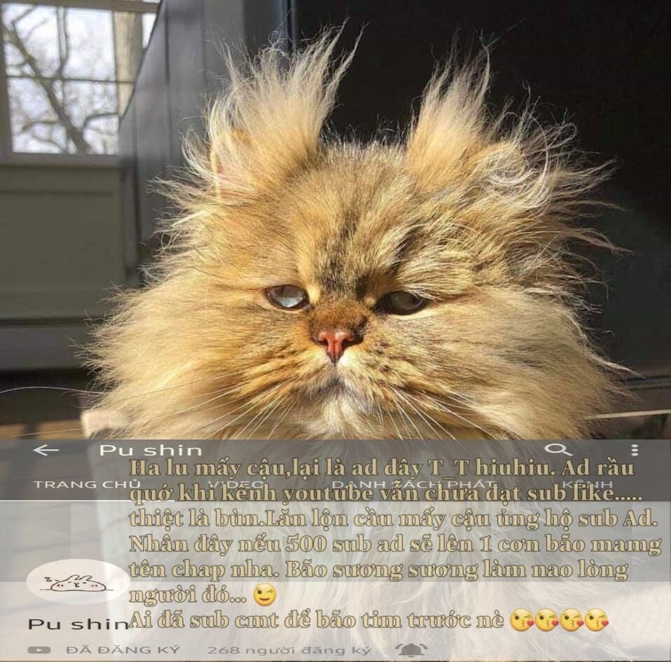 Tôi Là Tiểu Thư Của Gia Đình Này Chapter 25.2 - Trang 2