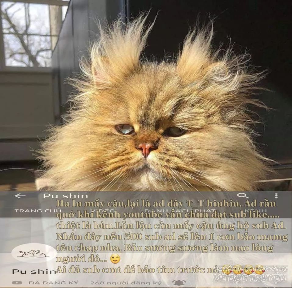 Tôi Là Tiểu Thư Của Gia Đình Này Chapter 26.1 - Trang 2