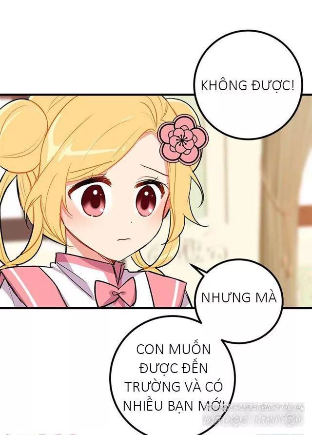 Tôi Là Tiểu Thư Của Gia Đình Này Chapter 26.1 - Trang 2