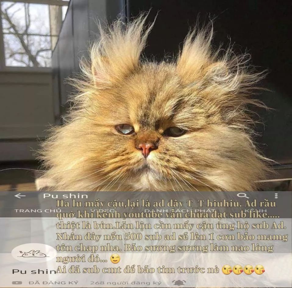 Tôi Là Tiểu Thư Của Gia Đình Này Chapter 26.1 - Trang 2