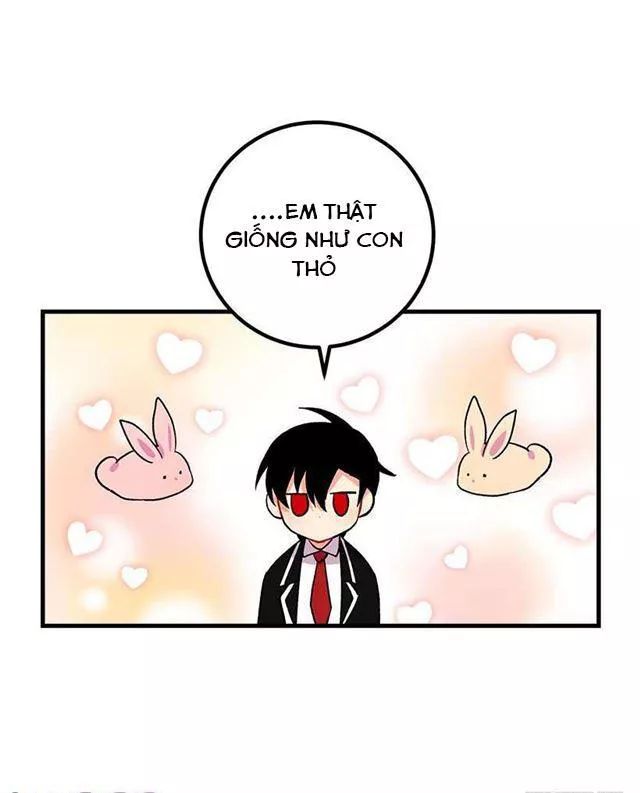 Tôi Là Tiểu Thư Của Gia Đình Này Chapter 28 - Trang 2