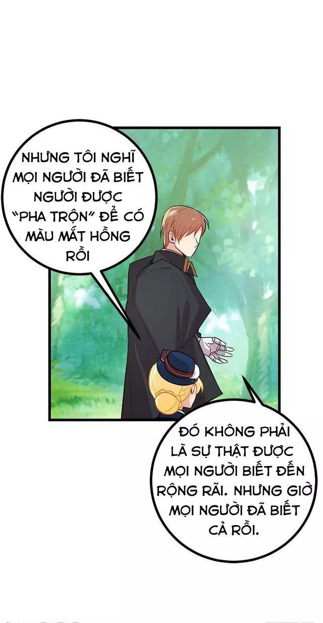 Tôi Là Tiểu Thư Của Gia Đình Này Chapter 47 - Trang 2