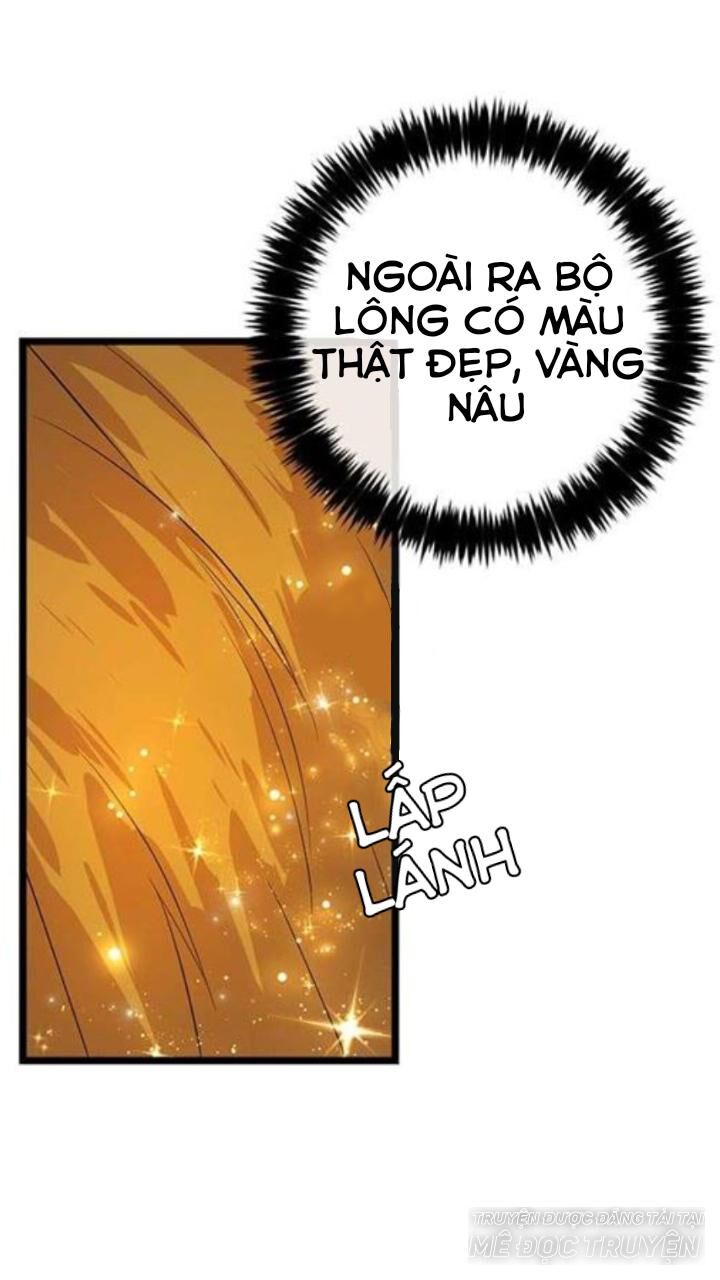 Tôi Là Tiểu Thư Của Gia Đình Này Chapter 48 - Trang 2