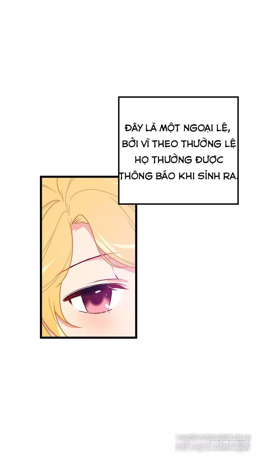 Tôi Là Tiểu Thư Của Gia Đình Này Chapter 53 - Trang 2