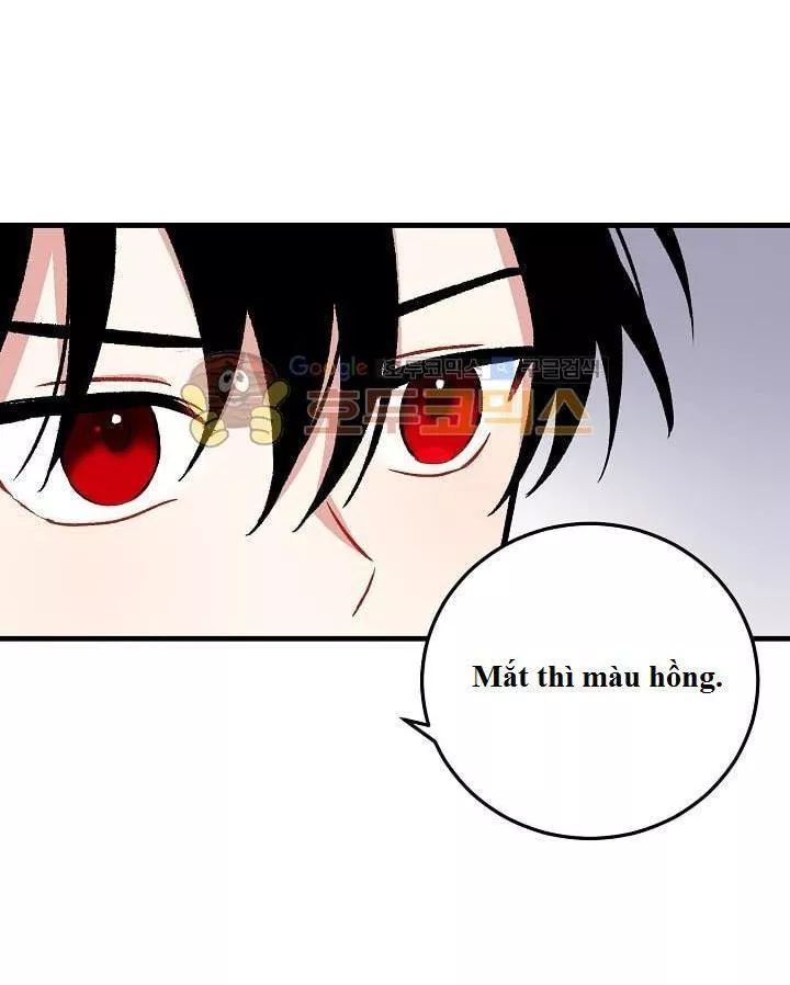 Tôi Là Tiểu Thư Của Gia Đình Này Chapter 6 - Trang 2