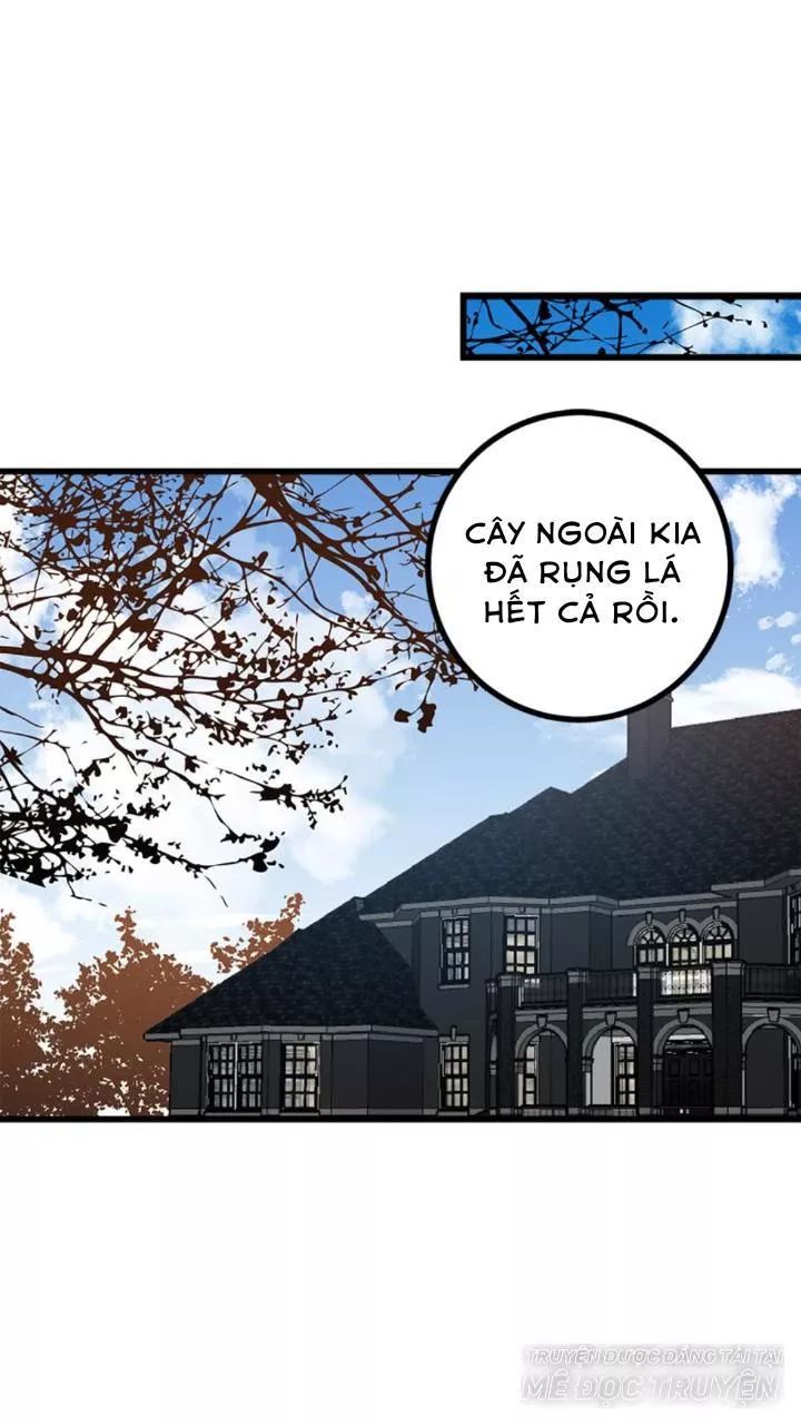 Tôi Là Tiểu Thư Của Gia Đình Này Chapter 60 - Trang 2