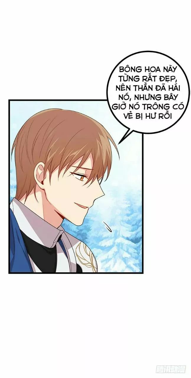 Tôi Là Tiểu Thư Của Gia Đình Này Chapter 70 - Trang 2