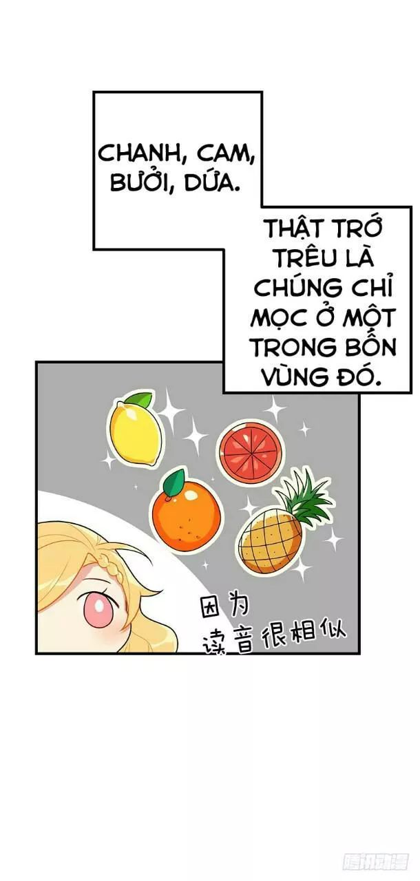 Tôi Là Tiểu Thư Của Gia Đình Này Chapter 70 - Trang 2