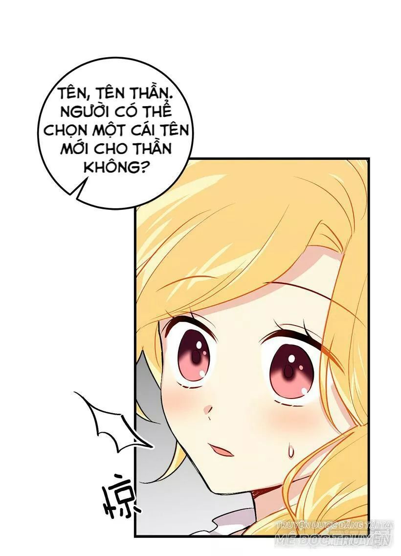 Tôi Là Tiểu Thư Của Gia Đình Này Chapter 85 - Trang 2