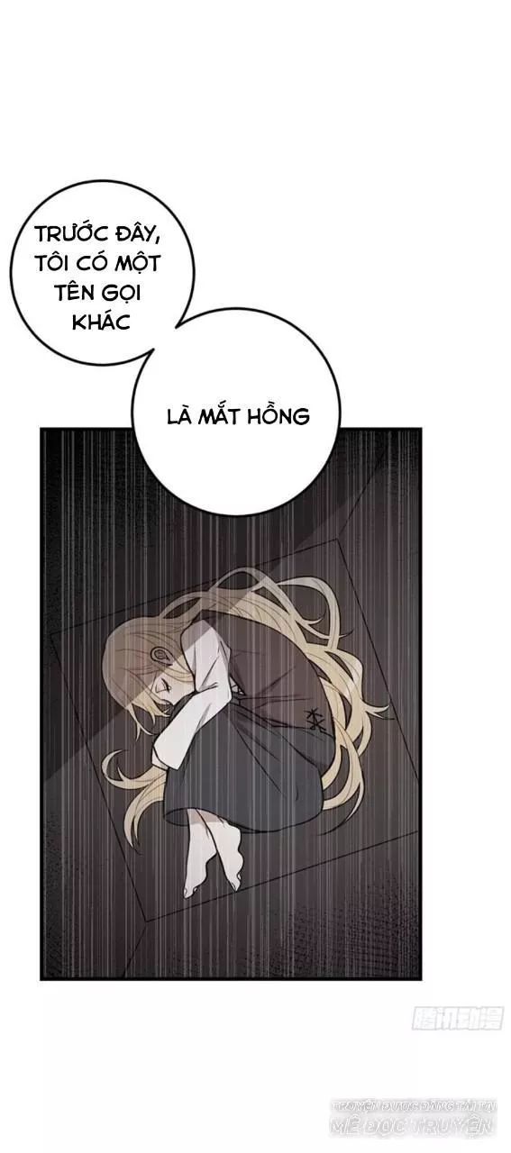 Tôi Là Tiểu Thư Của Gia Đình Này Chapter 87 - Trang 2