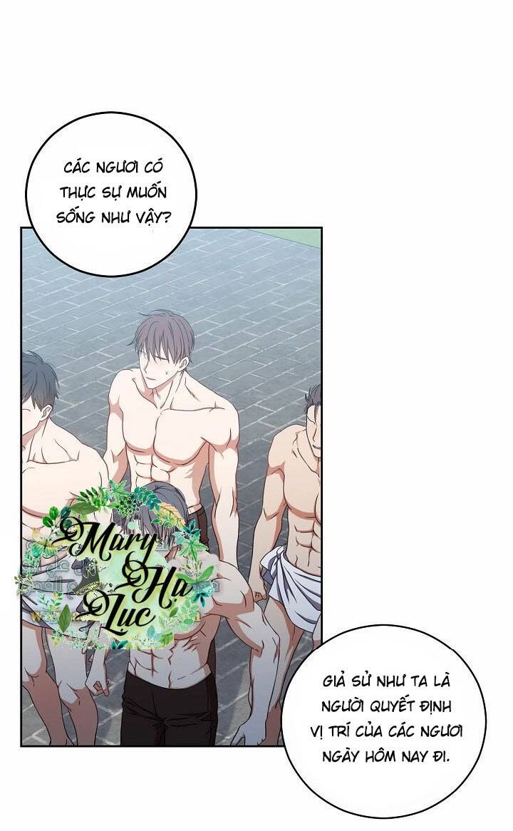 Tôi Lạc Vào Thế Giới Trò Chơi Harem Ngược Chapter 16 - Trang 2