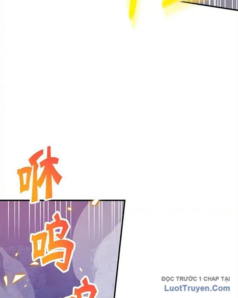 Tôi May Mắn Triệu Hồi Được Tinh Linh Hộ Vệ Hạng 10 Chapter 28 - Trang 2